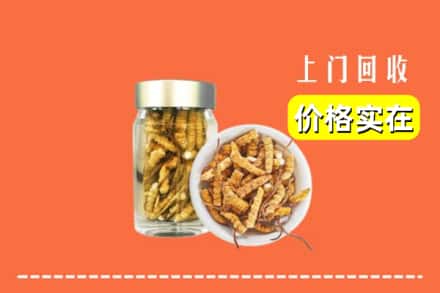 随州随县回收散虫草