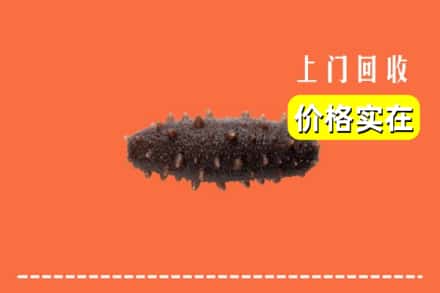 随州随县回收海参