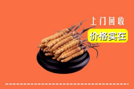随州随县回收冬虫夏草